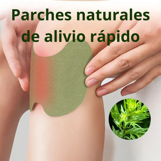 PARCHES PARA DOLOR DE RODILLA 12unidades